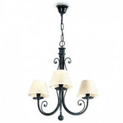 Camelia 3 luces