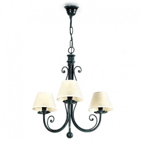 Camelia 3 luces