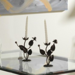Acedera Candelabro